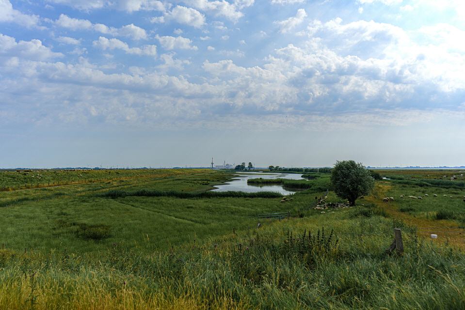 Außendeich Freiburg