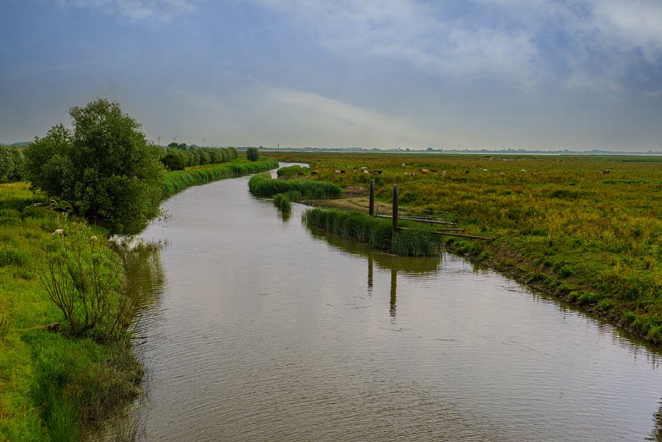 Außendeich Freiburg
