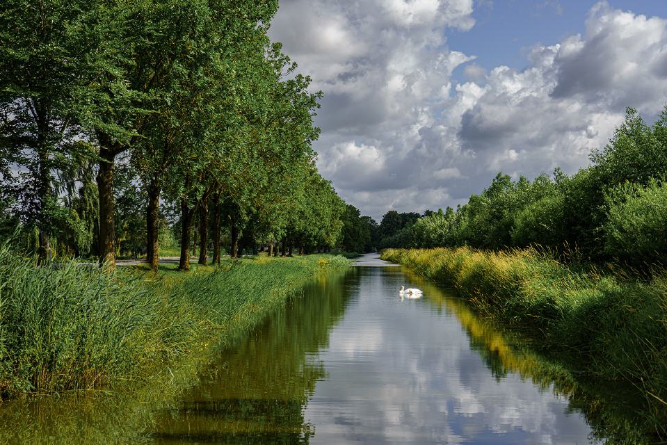 Großes Fleet Freiburg